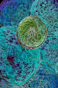 In the Depths of Beaver Creek by Kathryn Rabinow